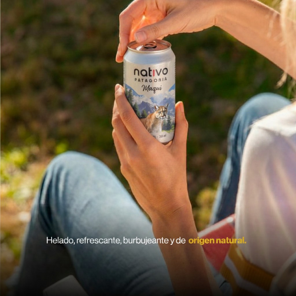 Maqui Vodka Seltzer 12 x 310 ml